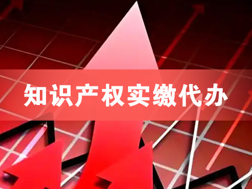 四会知识产权实缴资本代办